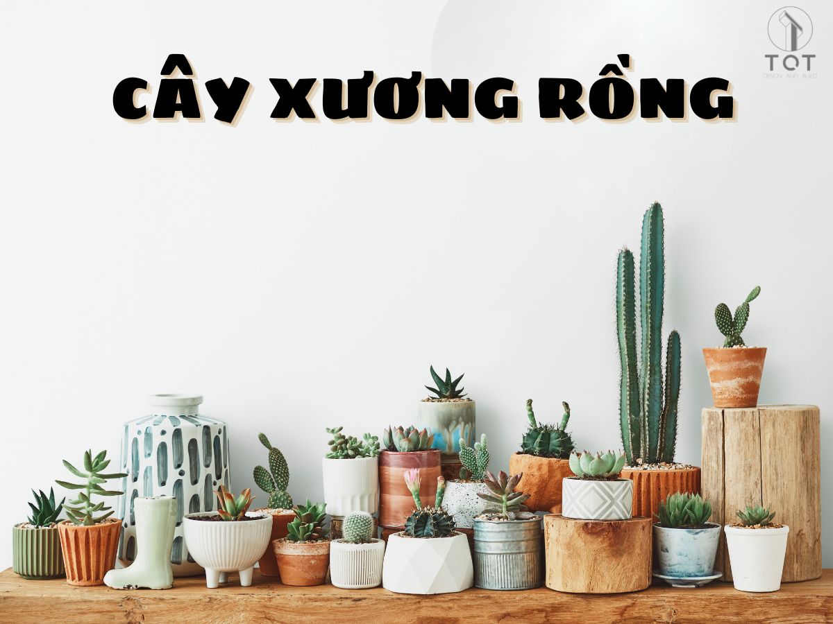 Kiến trúc TQT chuyên thiết kế kiến trúc nội thất và xây nhà trọn gói cho các công trình nhà phố, biệt thự