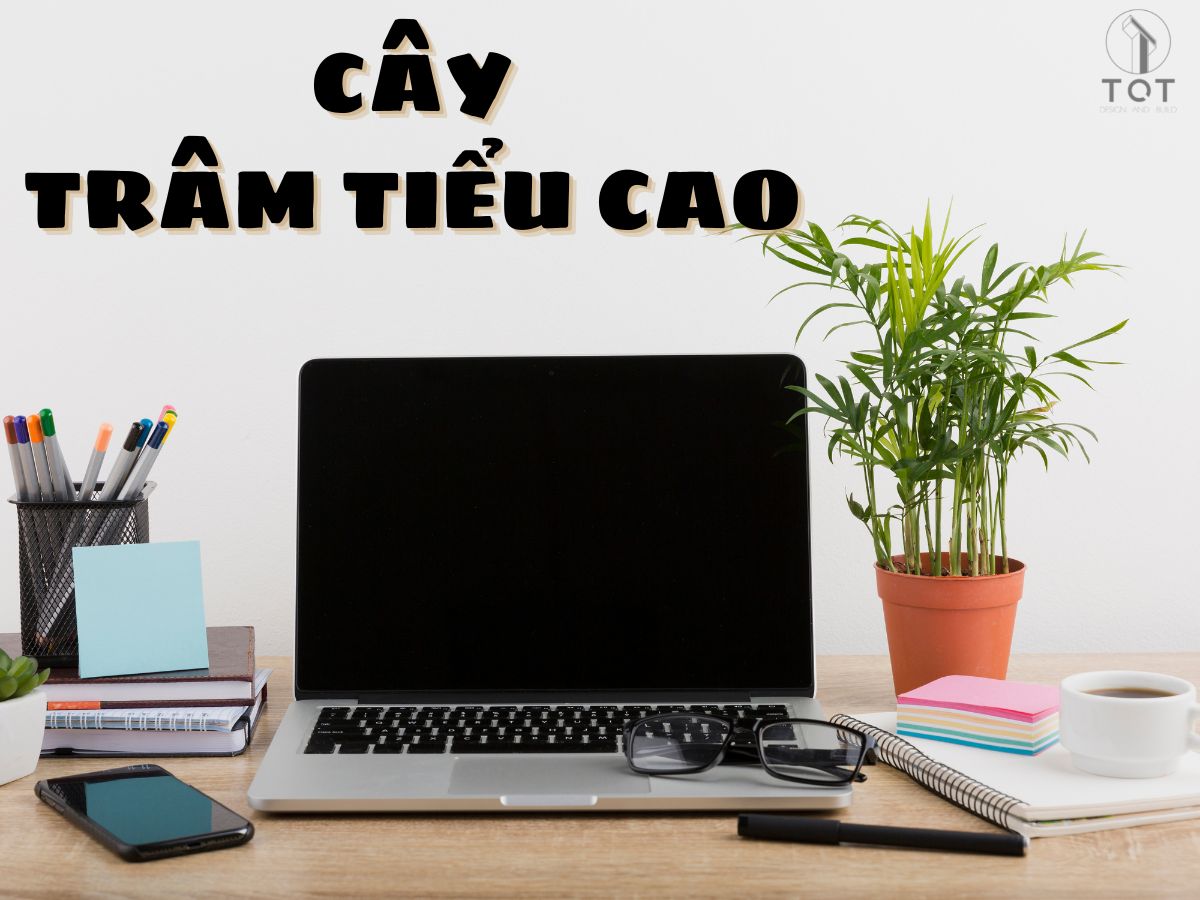 Kiến trúc TQT chuyên thiết kế kiến trúc nội thất và xây nhà trọn gói cho các công trình nhà phố, biệt thự