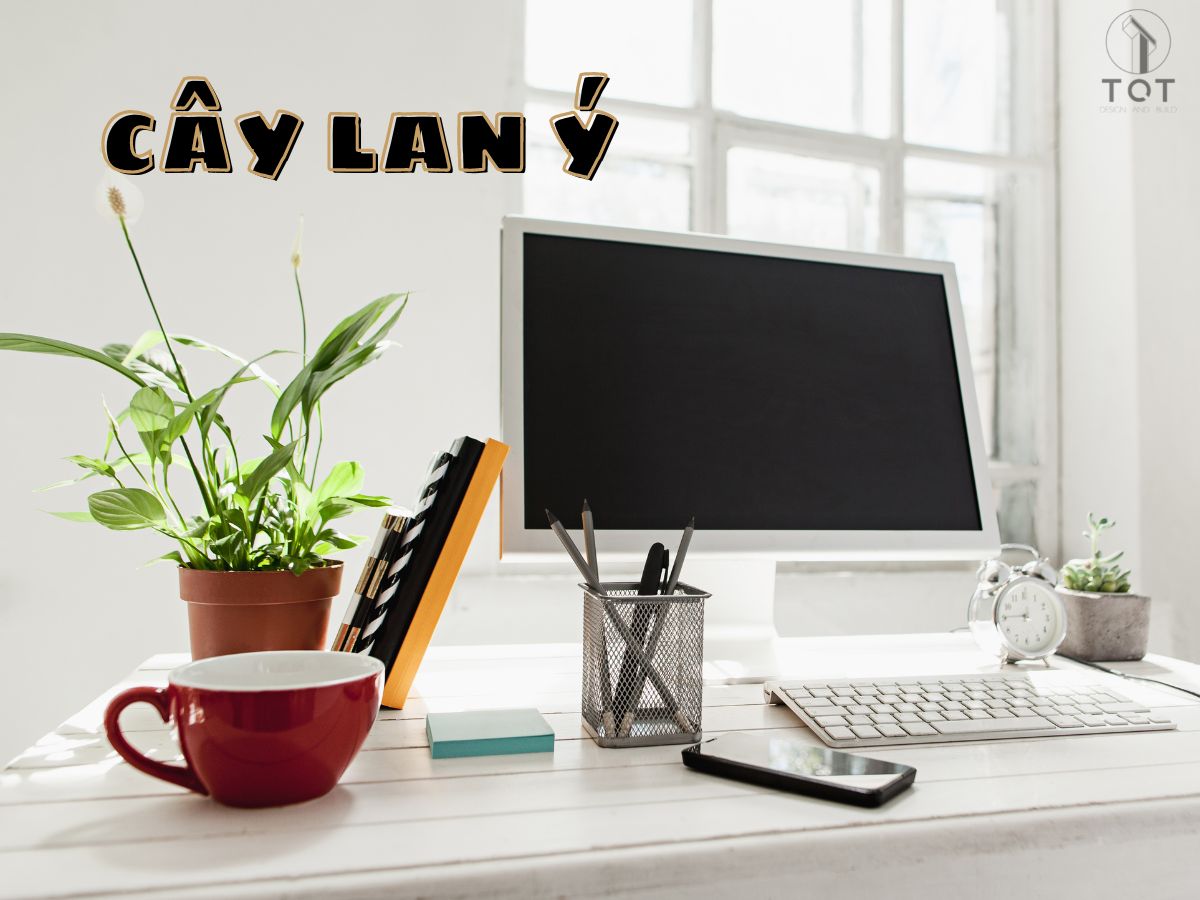 Kiến trúc TQT chuyên thiết kế kiến trúc nội thất và xây nhà trọn gói cho các công trình nhà phố, biệt thự