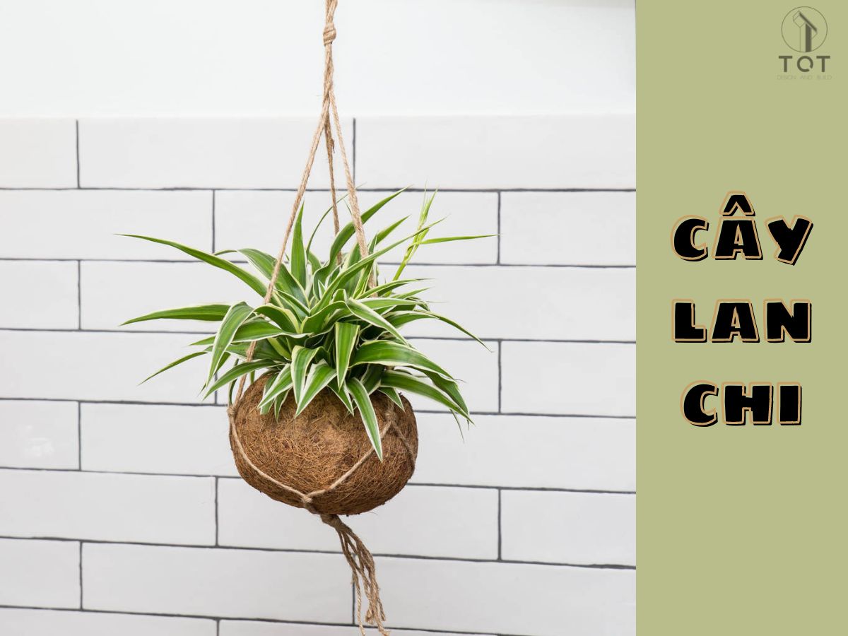Kiến trúc TQT chuyên thiết kế kiến trúc nội thất và xây nhà trọn gói cho các công trình nhà phố, biệt thự