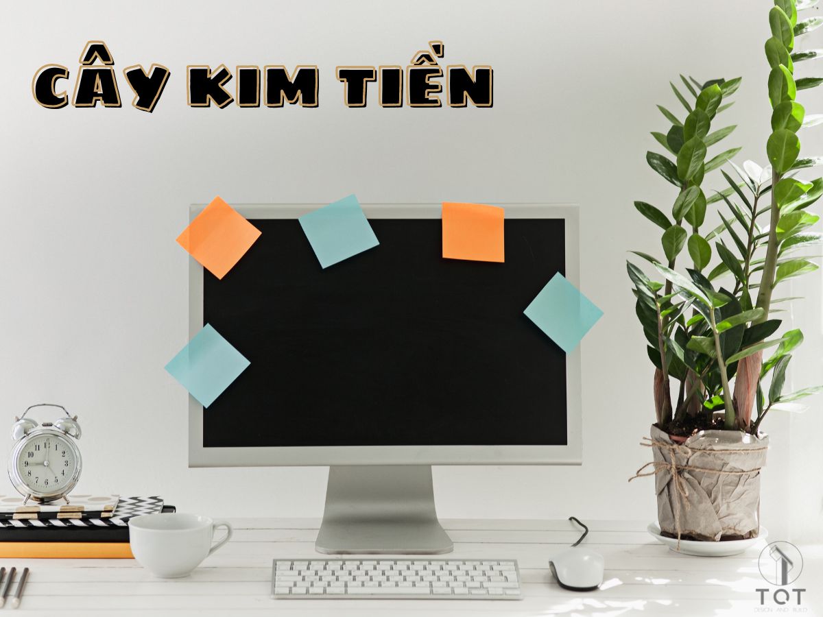 Kiến trúc TQT chuyên thiết kế kiến trúc nội thất và xây nhà trọn gói cho các công trình nhà phố, biệt thự